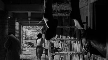 Movie still from “Queen Bee” (1955), directed by Ranald MacDougall – A woman standing next to a building with a person standing in front of it; Wide shot, Low angle