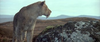 Movie still from “Quest for Fire” (1981), directed by Jean-Jacques Annaud – The back end of a lion; Wide shot, Low angle