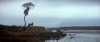 Movie still from “Quest for Fire” (1981), directed by Jean-Jacques Annaud – Two animals standing on top of a hill near a body of water; Extreme Wide shot, Low angle