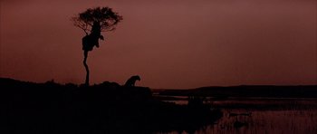 Movie still from “Quest for Fire” (1981), directed by Jean-Jacques Annaud – A silhouette of a cheetah sitting on a hill at night; Wide shot, Low angle