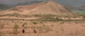 Movie still from “Quest for Fire” (1981), directed by Jean-Jacques Annaud – A field with a mountain in the background; Extreme Wide shot, High angle