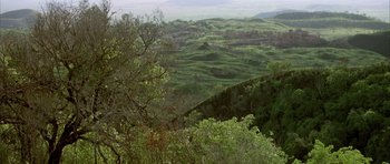 Movie still from “Quest for Fire” (1981), directed by Jean-Jacques Annaud – A view of a lush green landscape from a hill side; Extreme Wide shot, High angle