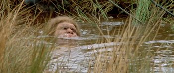 Movie still from “Quest for Fire” (1981), directed by Jean-Jacques Annaud – A dog is swimming in a body of water; Close Up shot, High angle