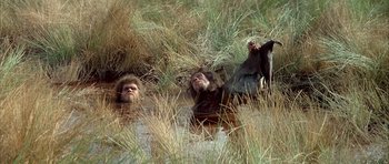 Movie still from “Quest for Fire” (1981), directed by Jean-Jacques Annaud – A group of people swimming in a body of water; Wide shot, High angle