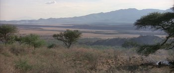 Movie still from “Quest for Fire” (1981), directed by Jean-Jacques Annaud – A tree in the middle of a field with mountains in the background; Extreme Wide shot, High angle