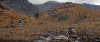 Movie still from “Quest for Fire” (1981), directed by Jean-Jacques Annaud – A person in a field near a body of water; Extreme Wide shot, High angle