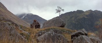 Movie still from “Quest for Fire” (1981), directed by Jean-Jacques Annaud – A tree on a rock in the mountains; Wide shot, Low angle