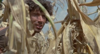 Movie still from “Rabid Dogs” (1974), directed by Mario Bava – A person in a cornfield; Close Up shot, Low angle