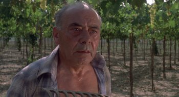 Movie still from “Rabid Dogs” (1974), directed by Mario Bava – An older man in a plaid shirt in a vineyard; Close Up shot, Low angle
