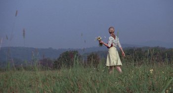Movie still from “Rachel, Rachel” (1968), directed by Paul Newman – A woman in a yellow dress holding a bouquet of flowers in a grassy field; Wide shot, Low angle