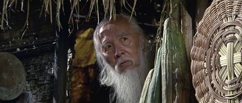 Movie still from “Rambo: First Blood Part II” (1985), directed by George P. Cosmatos – An old man with long white hair and a long beard; Close Up shot, Low angle