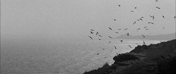 Movie still from “Rapture” (1965), directed by John Guillermin – A flock of birds flying over a body of water; Extreme Wide shot, Low angle