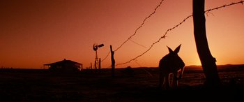 Movie still from “Razorback” (1984), directed by Russell Mulcahy – A silhouette of an animal in a field at sunset; Wide shot, Low angle
