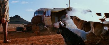 Movie still from “Razorback” (1984), directed by Russell Mulcahy – A group of dogs standing next to an old truck; Wide shot, Low angle