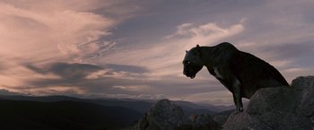 Movie still from “Red Hill” (2010), directed by Patrick Hughes – A black and white cat is standing on top of a hill; Wide shot, Low angle