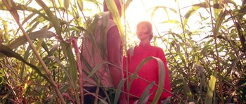 Movie still from “Red Sorghum” (1988), directed by Yimou Zhang – Two people standing in a field of tall grass; Medium shot, Low angle