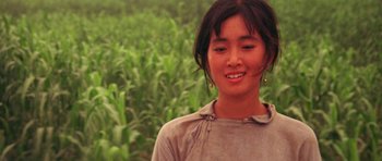 Movie still from “Red Sorghum” (1988), directed by Yimou Zhang – A young woman standing in a field of corn; Close Up shot, High angle