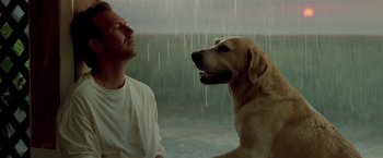 Movie still from “Revenge” (1990), directed by Tony Scott – A man and a dog in the rain; Close Up shot, Low angle