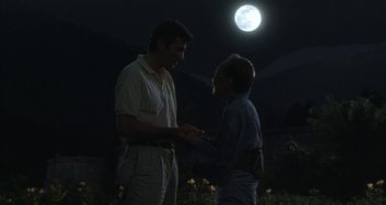Movie still from “Rhapsody in August” (1991), directed by Akira Kurosawa – A man and a woman holding hands in front of the moon; Medium shot, Over the shoulder angle