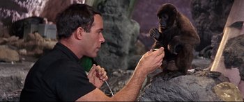 Movie still from “Robinson Crusoe on Mars” (1964), directed by Byron Haskin – A man holding a baby gorilla in his hands; Medium shot, High angle