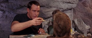 Movie still from “Robinson Crusoe on Mars” (1964), directed by Byron Haskin – A man sitting at a table with a monkey; Close Up shot, Over the shoulder angle
