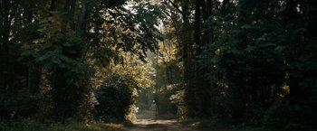Movie still from “Robot & Frank” (2012), directed by Jake Schreier – A person walking down a dirt road in the woods; Extreme Wide shot, High angle