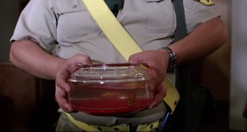 Movie still from “Rock 'n' Roll High School” (1979), directed by Joe Dante – A person holding a container with a fish in it; Extreme Close Up shot, High angle