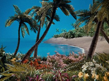 Movie still from “Rudolph's Shiny New Year” (1976), directed by Jules Bass – A beach with a bunch of palm trees on the shore; Extreme Wide shot, High angle