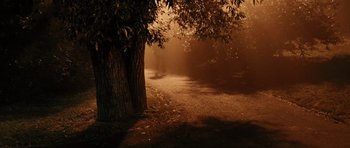 Movie still from “Running Scared” (2006), directed by Wayne Kramer – A tree is in the middle of a path; Extreme Wide shot, High angle