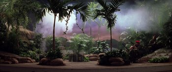 Movie still from “Rushmore” (1998), directed by Wes Anderson – A stage set with palm trees and rocks in front; Extreme Wide shot, High angle