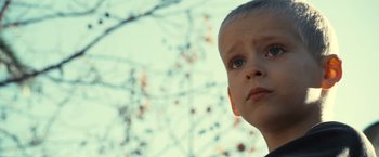 Movie still from “Rust and Bone” (2012), directed by Jacques Audiard – A child's face in front of a tree; Close Up shot, Low angle