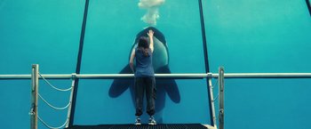 Movie still from “Rust and Bone” (2012), directed by Jacques Audiard – A woman standing next to an orca in an aquarium; Medium shot, Low angle
