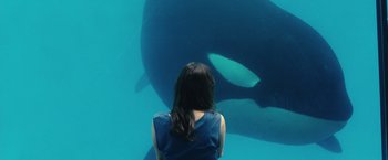 Movie still from “Rust and Bone” (2012), directed by Jacques Audiard – A woman looking at a whale in an aquarium; Medium shot, High angle