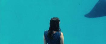 Movie still from “Rust and Bone” (2012), directed by Jacques Audiard – A woman standing in front of a bright blue wall; Medium shot, Overhead angle