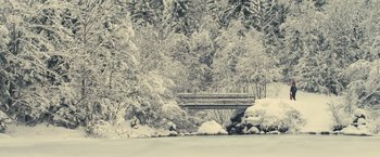 Movie still from “Rust and Bone” (2012), directed by Jacques Audiard – A bridge in the middle of a snow covered forest; Extreme Wide shot, High angle