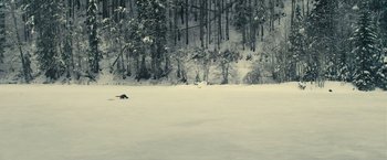 Movie still from “Rust and Bone” (2012), directed by Jacques Audiard – A person is laying in the snow near a wooded area; Extreme Wide shot, High angle