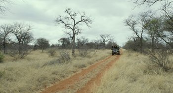 Movie still from “Safari” (2016), directed by Ulrich Seidl – A truck driving down a dirt road in the middle of a field; Extreme Wide shot, Low angle