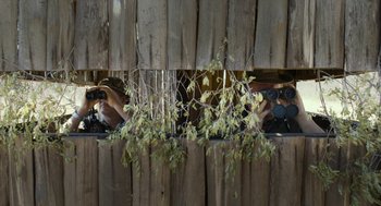 Movie still from “Safari” (2016), directed by Ulrich Seidl – A bunch of plants that are growing in the ground; Medium shot, Low angle