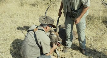 Movie still from “Safari” (2016), directed by Ulrich Seidl – A man in a hat is petting an animal; Medium shot, Over the shoulder angle