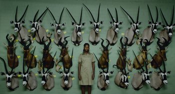 Movie still from “Safari” (2016), directed by Ulrich Seidl – A man standing in front of a wall of taxidermied animals; Wide shot, Overhead angle
