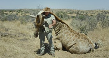 Movie still from “Safari” (2016), directed by Ulrich Seidl – A man standing next to a giraffe in a field; Medium shot, Low angle