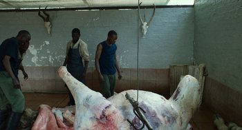 Movie still from “Safari” (2016), directed by Ulrich Seidl – Two men standing in front of a large animal carcass; Medium shot, Low angle