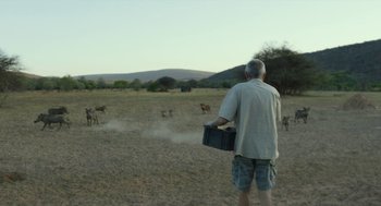 Movie still from “Safari” (2016), directed by Ulrich Seidl – A man standing in the middle of an open field with cows; Wide shot, Over the shoulder angle
