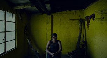 Movie still from “Safari” (2016), directed by Ulrich Seidl – A woman sitting in a chair in front of a yellow wall; Medium shot, High angle