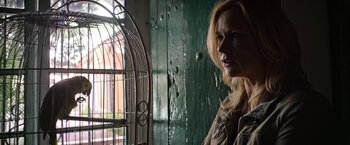 Movie still from “Salt and Fire” (2016), directed by Werner Herzog – A woman standing in front of a metal cage; Close Up shot, Low angle