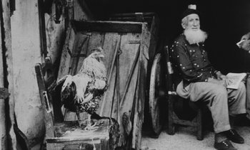 Movie still from “Salut les Cubains” (1963), directed by Agnès Varda – An old man sitting next to an old man sitting next to a chicken; Wide shot, Low angle