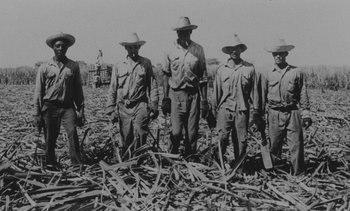 Movie still from “Salut les Cubains” (1963), directed by Agnès Varda – A black and white photo of a group of men standing next to each other; Wide shot, High angle