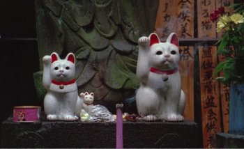 Movie still from “Sans Soleil” (1983), directed by Chris Marker – A couple of white cats sitting on top of a table; Wide shot, Low angle