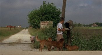 Movie still from “Secondhand Lions” (2003), directed by Tim McCanlies – A man standing on a dirt road next to a bunch of dogs; Wide shot, Low angle