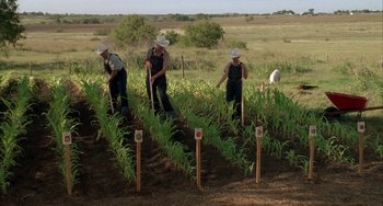 Movie still from “Secondhand Lions” (2003), directed by Tim McCanlies – A group of people in a field working in a field; Wide shot, High angle